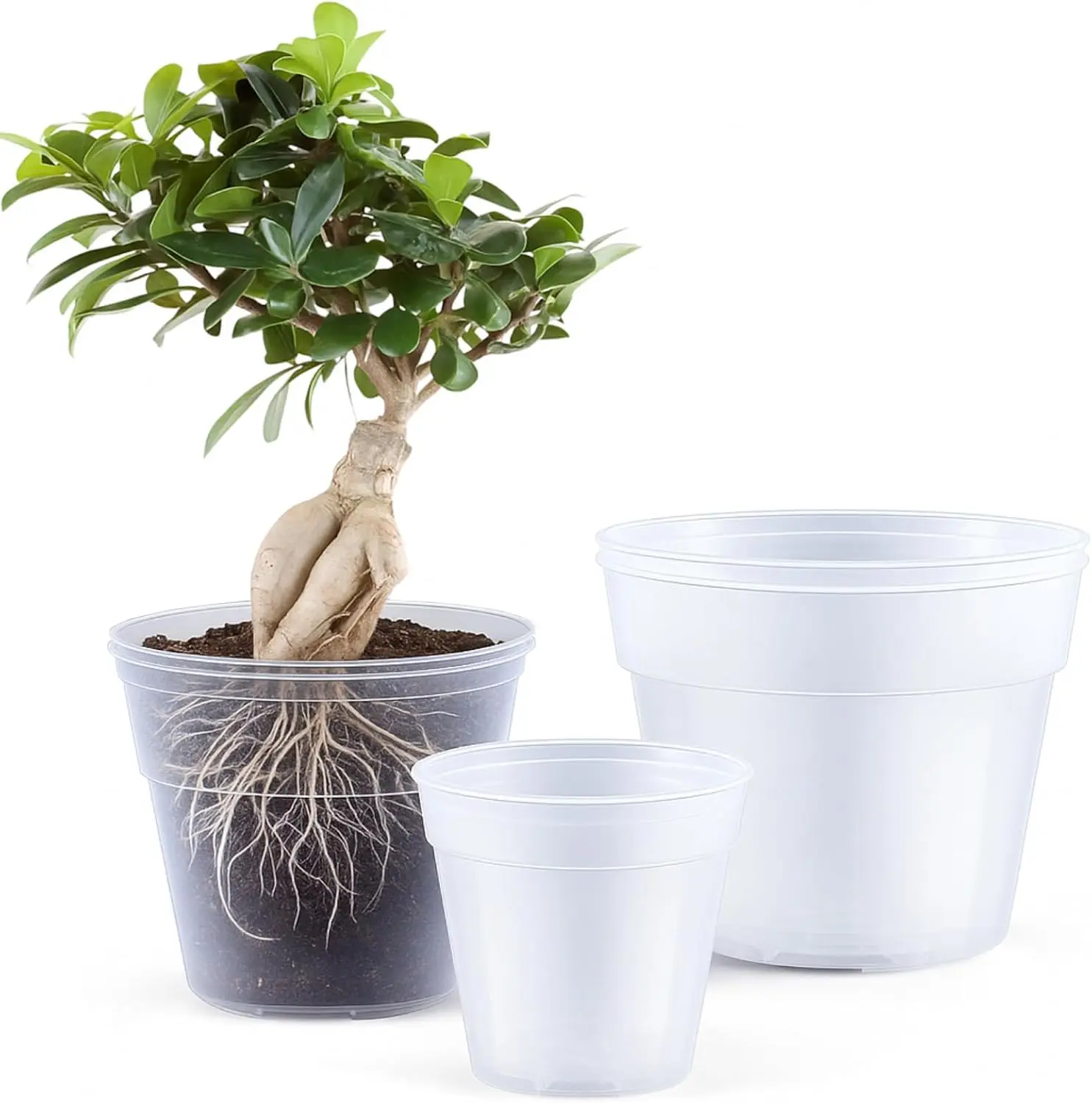 

6-Pack Clear Plastic Plant Pots with Drainage Holes, Sizes 8/10/12 Inch for Indoor Plants and Succulents