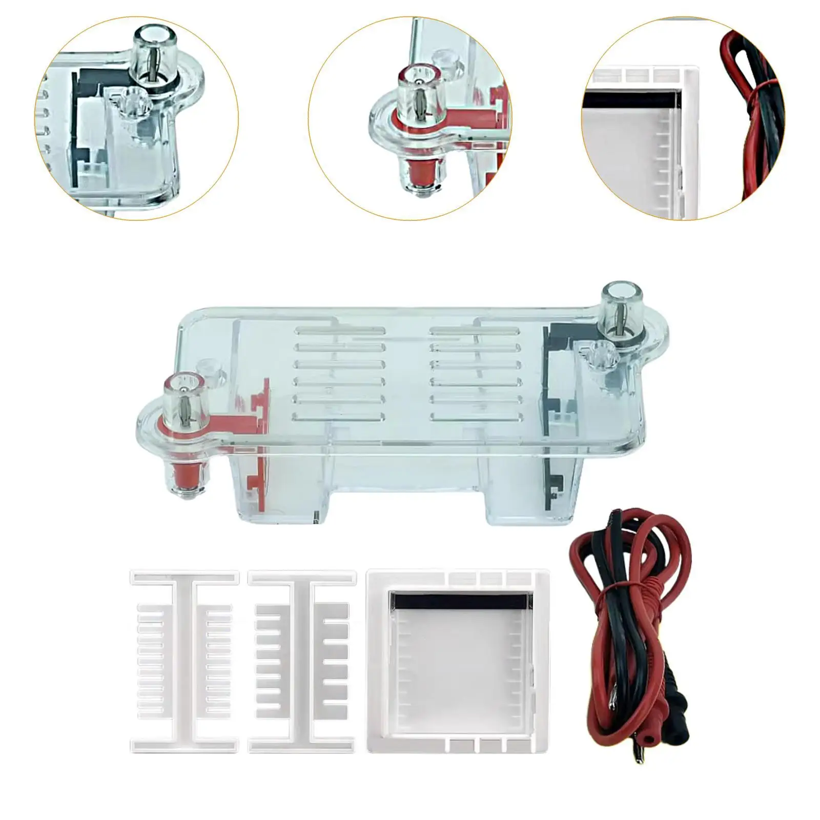 Projetos de experimentos de aparelhos de eletroforese, equipamento experimental de biologia de aprendizagem resistente para estudantes de meninos e meninas do ensino médio