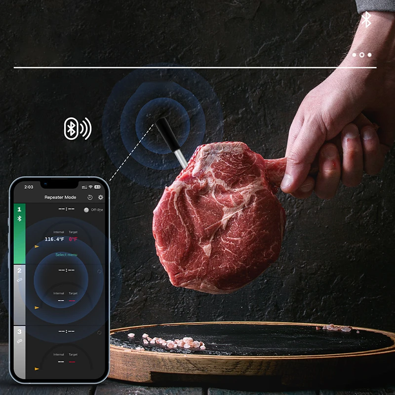 Wireless Meat Food Thermometer for Oven Grill BBQ Smoker Kitchen Smart Digital Bluetooth Barbecue Thermometer Temperature Gauge