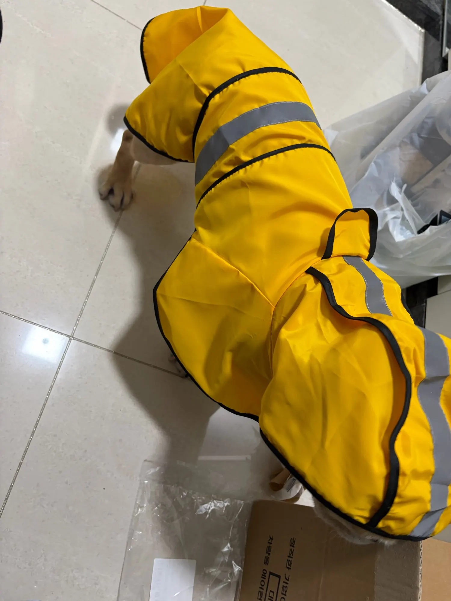 Customer review photo for Waterproof Dog Raincoat — Adjustable, Windproof & Hooded