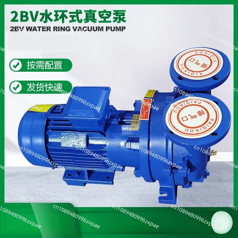 2BV Water Ring Vacuum Pump SKA Fluid Ring Air Pump With Optional Stainless Steel Explosion Proof Motor
