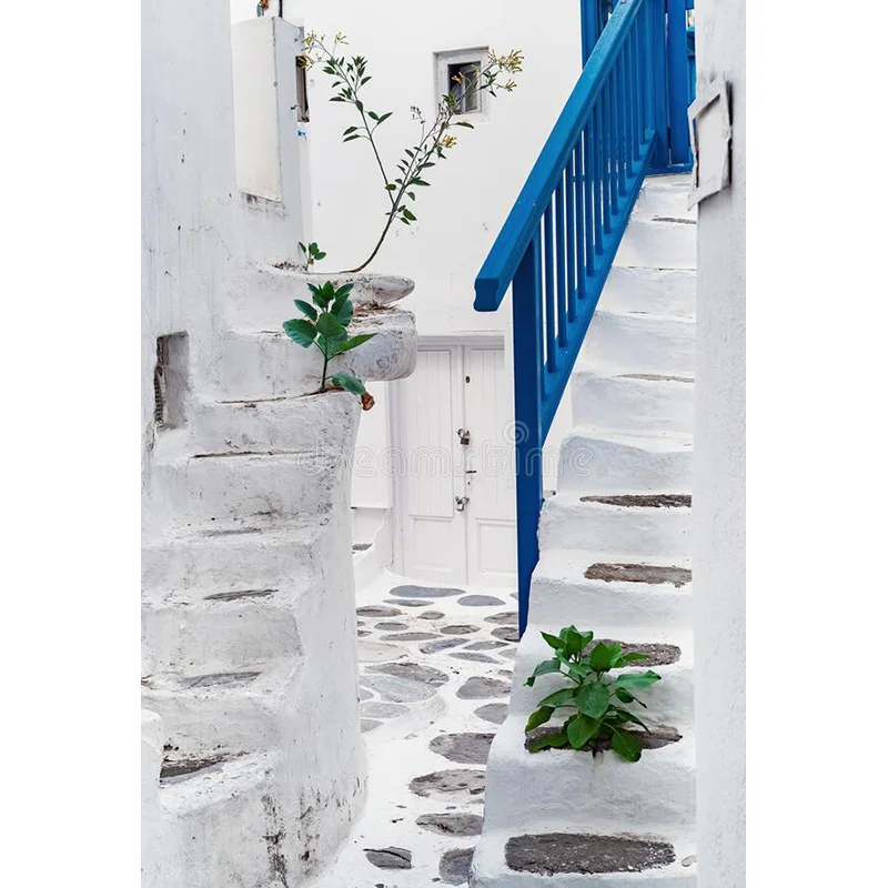 유럽 스타일 레트로 거리 풍경 웨딩 사진, 신생아 및 애완 동물 사진 배경 소품 JDH-09