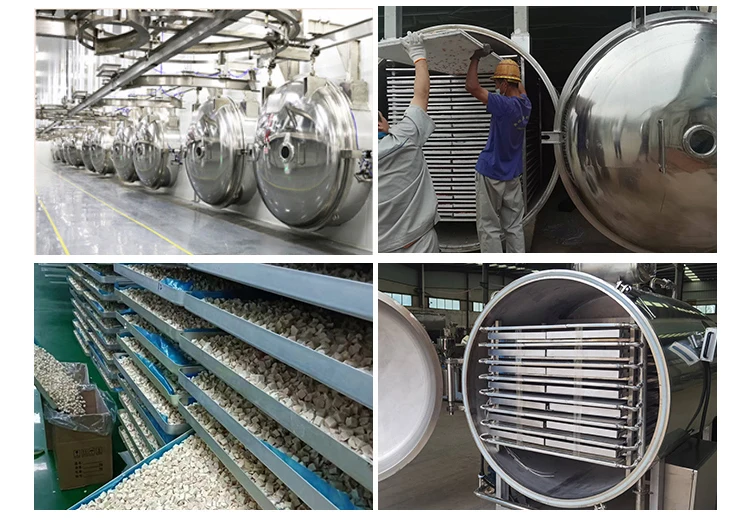 CE Industrial Lyophilizer Freeze Dryer for Mangoes Peas Carrots Scallions Cilantro Ready-to-eat Soups Staple Foods Porridge - view 4