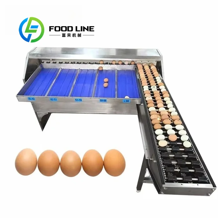 Egg Sorting Machine Plug And Play Assembly Identical To Egg Grading Machine Enables Fast Setup In Newly Built Egg Processing