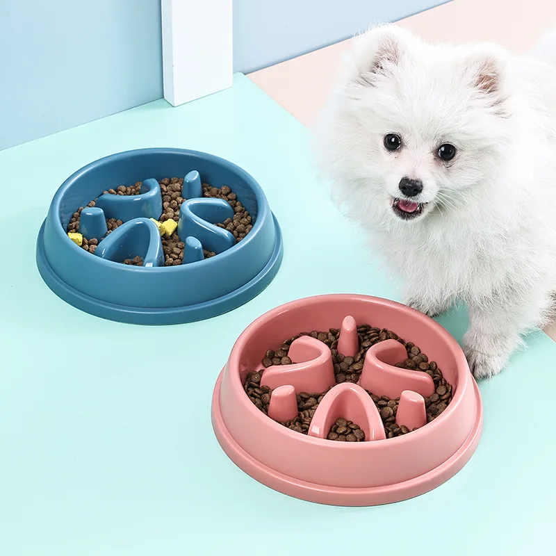 Thumbnail 3 - #27 Latest Slow Puppy Feeder Bowls Offers