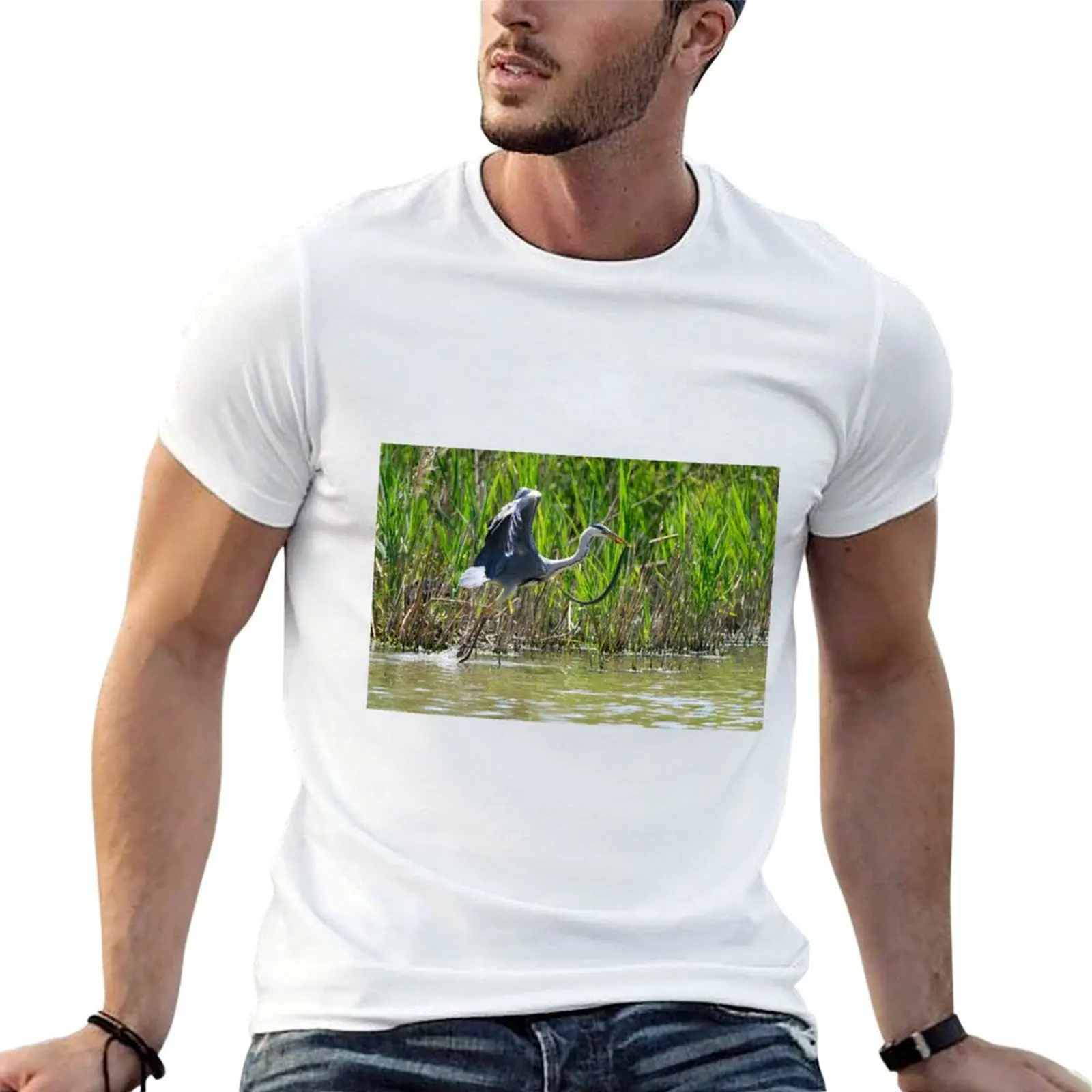 

A heron flies off with a snake, Oasi WWF Lago di Alviano, Umbria, Italy T-Shirt t shirt man luxury T-Shirt
