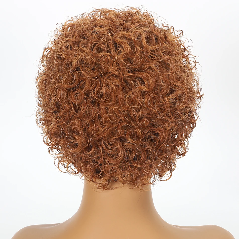Curly Pixie Cut Wig Lace Human Hair Wig Water Wave Short Bob Wig 13X1 Transparent Lace Wig Wig Ombre Burgundy