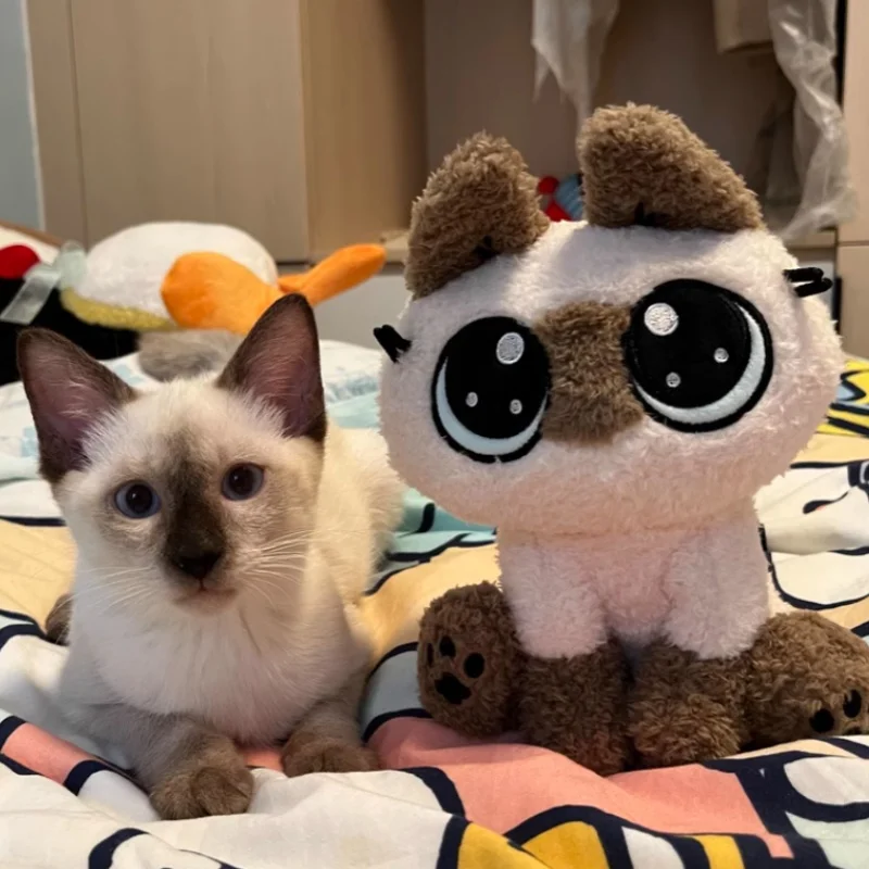 20cm Siamese Cat Bean Paste Xiao Daini Cotton Doll Good Night Payment Anime Peripheral 40cm Plush Doll Girl Heart Gifts