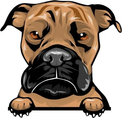 For BOXER Peeking Dog Breed Colour Window Wall Laptop Mug Sticker w/proof