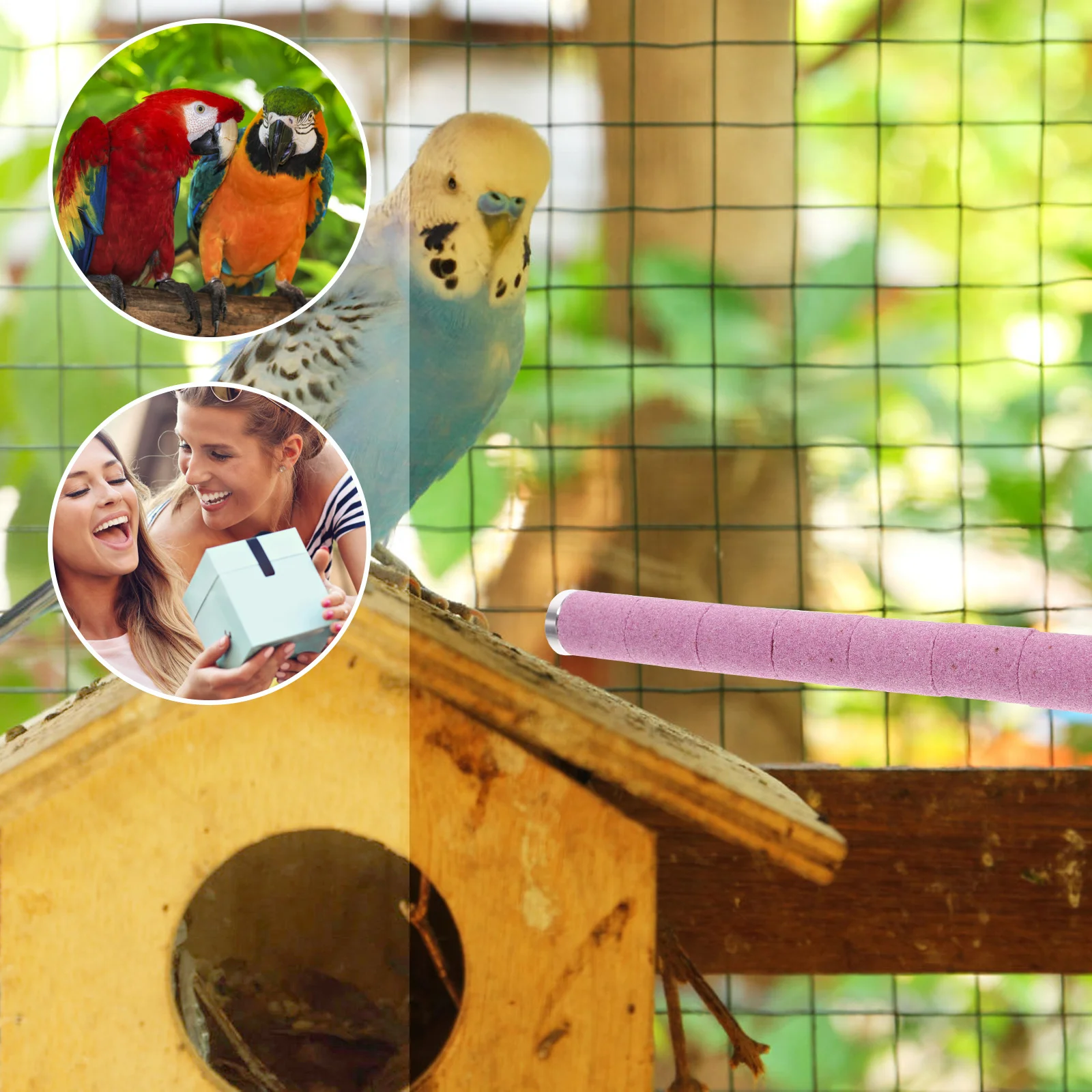 

Parrot Perch Stick Bite-Resistant Bird Cage Perch For Parakeet Macaw Finch Scratching Standing Exercise Accessory