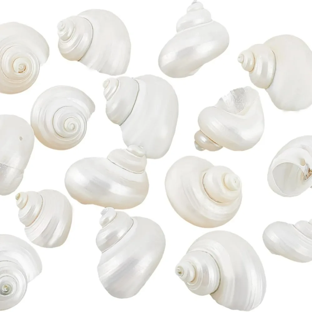 16pcs Natural Spiral Shell Beads, 0.8~1.1 Inch Mouth Turbo Seashells Undrilled Spiral Seashells NO Hole Shells for Home Party