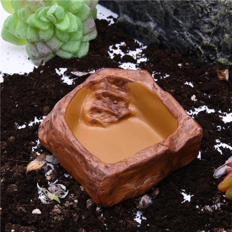 1PC Pet Feeder Bowl Tortoise Drinker Reptile Feeder Dispenser Landscaping Decoration Lizard Water Feeder NEW