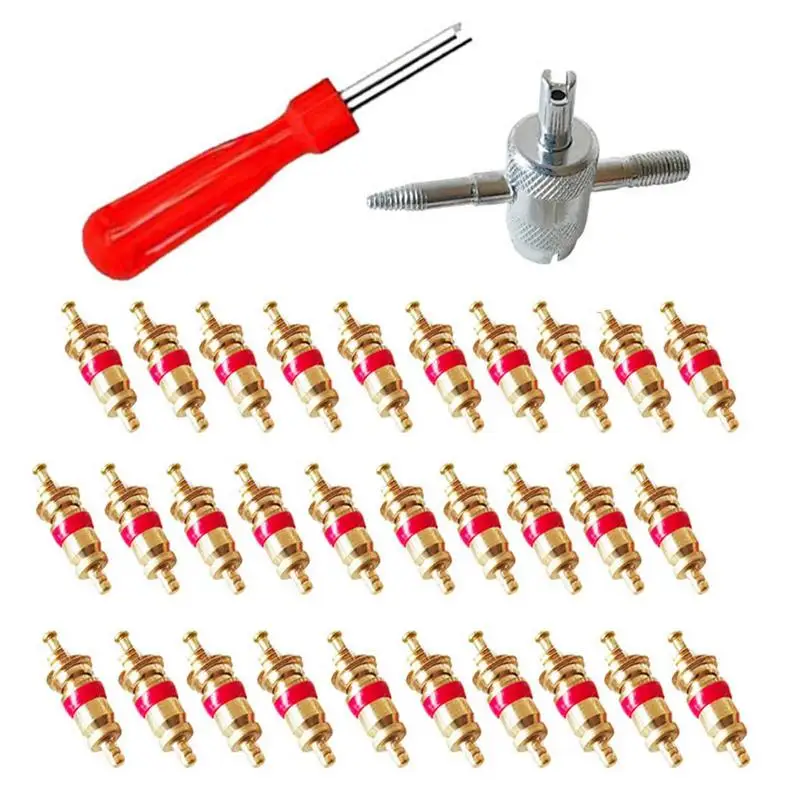 

Tire Valve Stem Tool Remover Valve Insertion Installer 30X Valve Cores Single Head Stem Core Insertion Installer For Replacing
