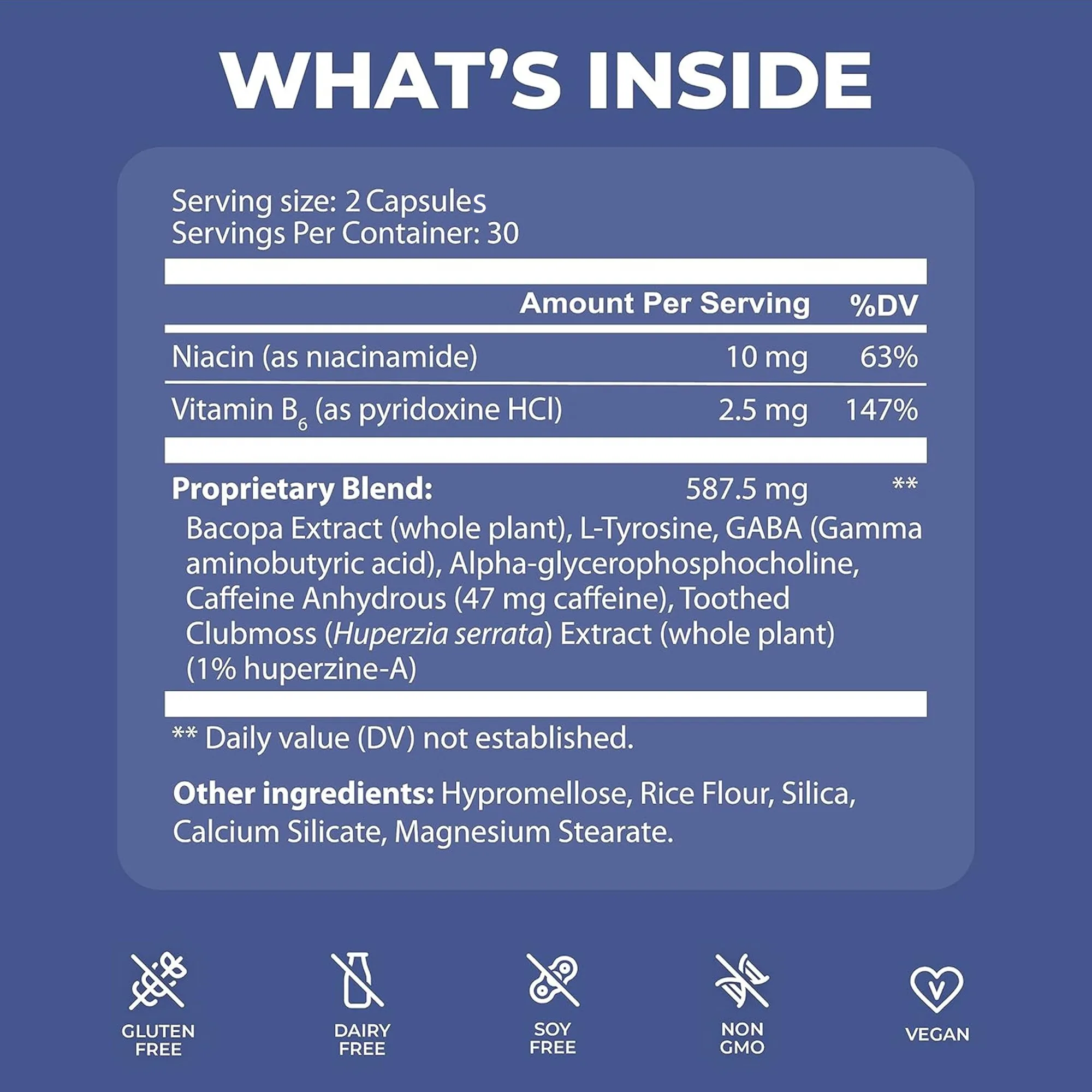 Ageless Brain - Niacin, Vitamin B6 -Memory, Focus, Boost Brain Health, Learn and Concentrate