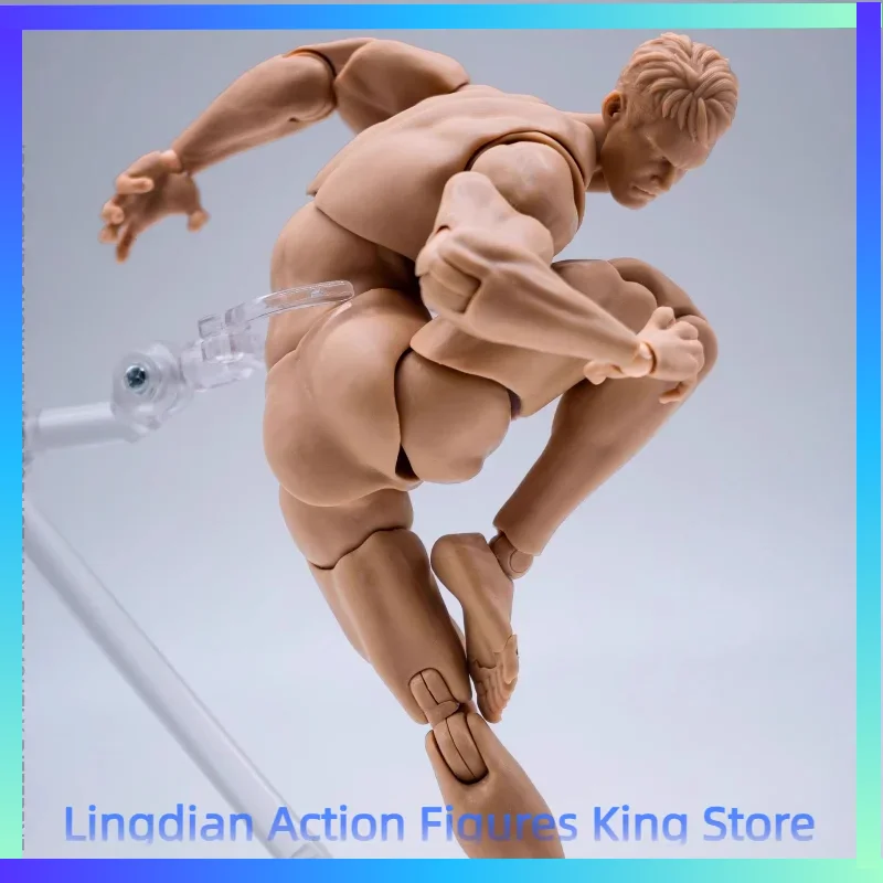 Wind Toys 1/12 Male Muscle Strong Super Flexible Joint Body 16cm Man Action Figure Doll Model with Head Sculpt view 5