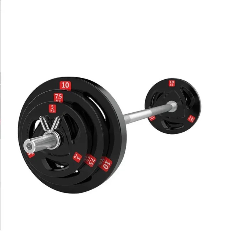 for Large Hole Barbell Plate Hand Grip Austrian Rod Weight Lifting Dumbbell Cast Iron Plate Foreign Trade Clearance