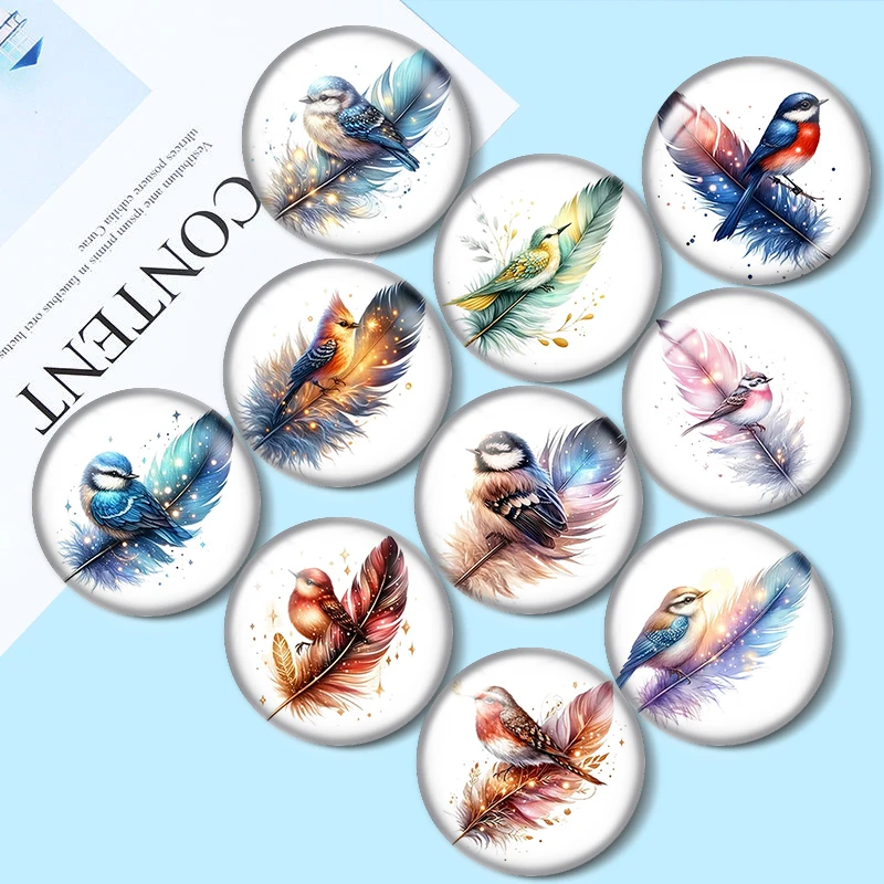 Feathers and Birds 12/18/20/25mm glass cabochon  bracelet pendant rings for jewelry demo earrings back Making findings