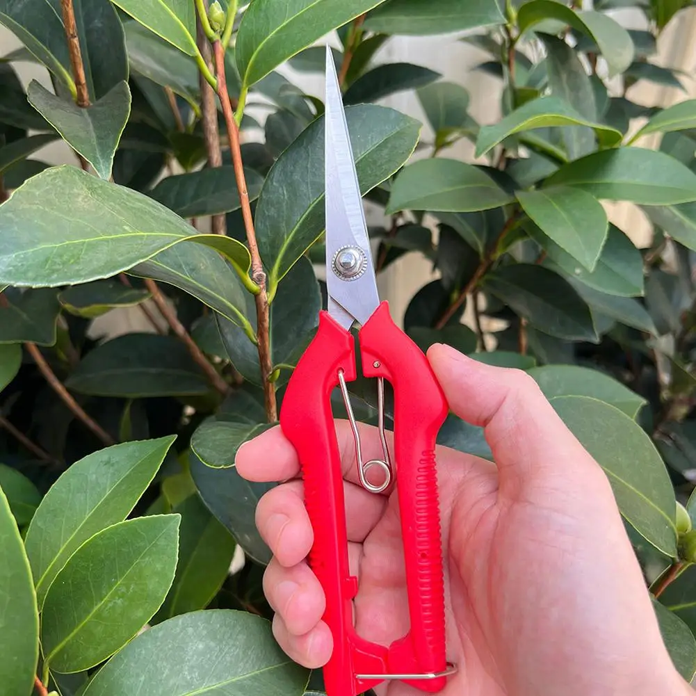 Pro Garden Pruning Shears Lengthened Tree Flower Scissors Hand Bonsai Clippers Pruning Snips Standard Orange - view 4