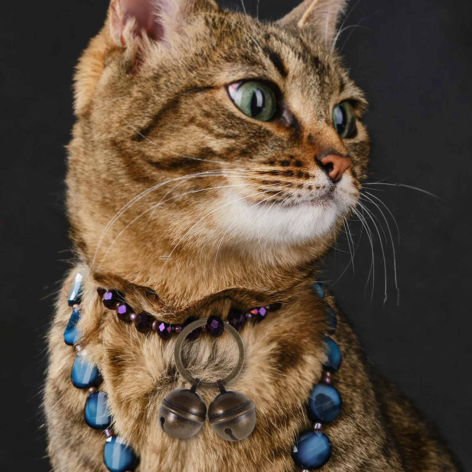 

1Set Pet Collar Bells Small Compact Metal Delicate Decorative Cat Dog Collar Bells Multi-Function Wear-Resistant Accessory