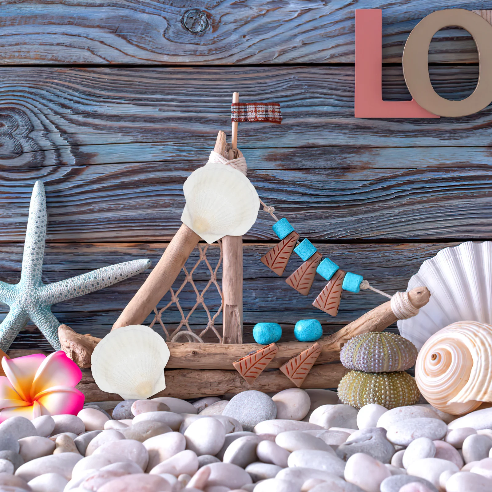 

40Pcs Sea Shells for Decorating Natural Craft Set DIY Beach Party Home Decor Fish Tank Aquarium Landscape