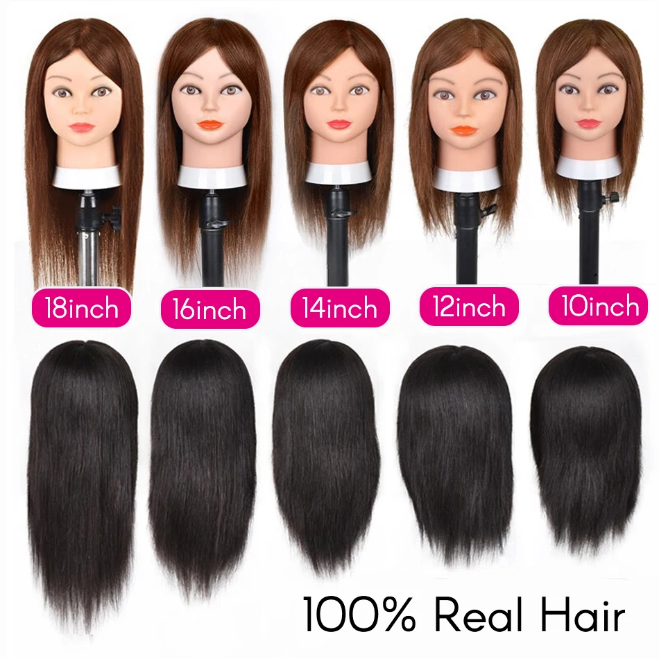 

Mannequin Head with Hair 100% Real Human Hair 10-18'' Cosmetology Mannequin Head for Styling Practice on Braiding Manikin Head