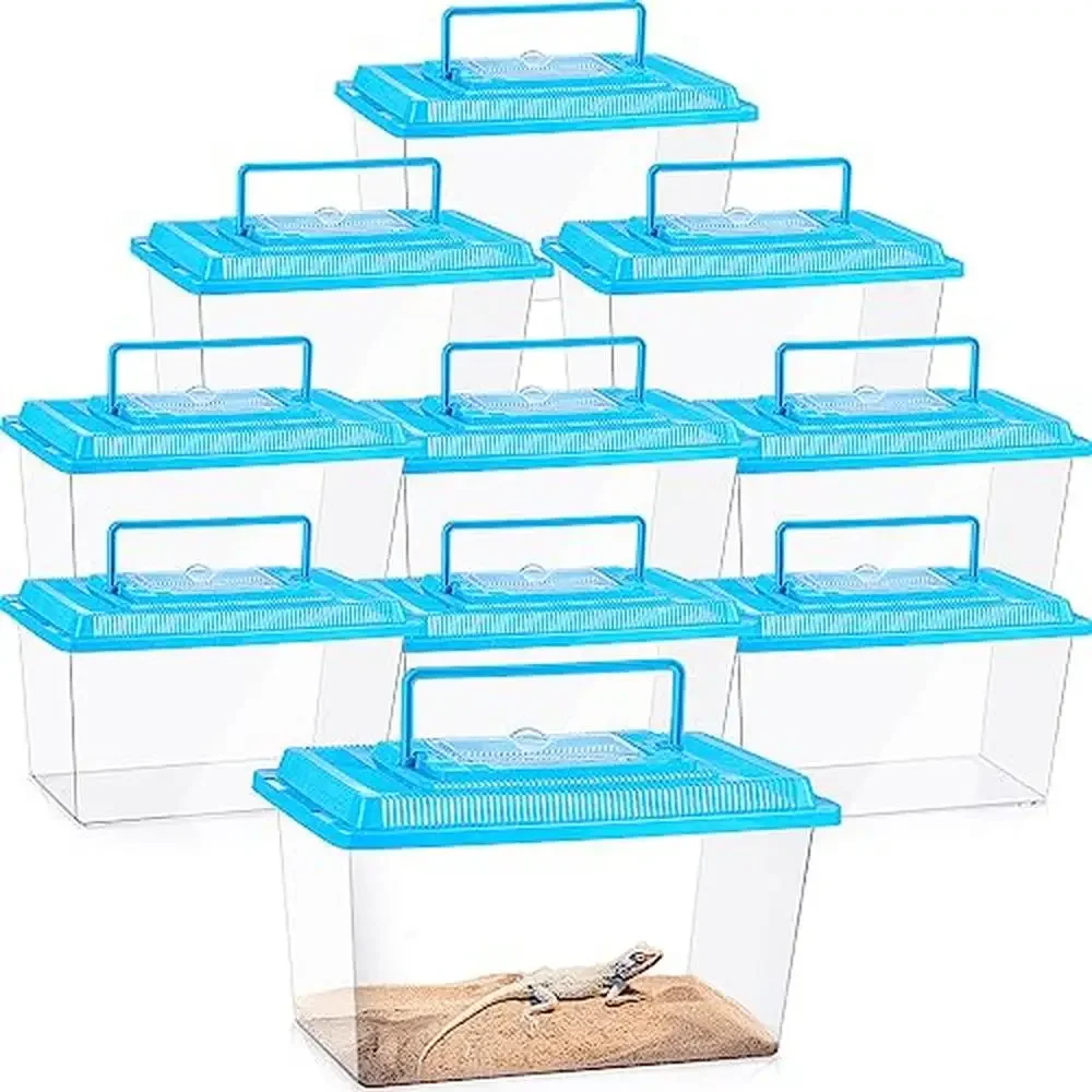 

Spider Tarantula Enclosure Reptile Terrarium Plastic Hatching Container Pack of 10 Lightweight Portable Breeding Box Snake Box