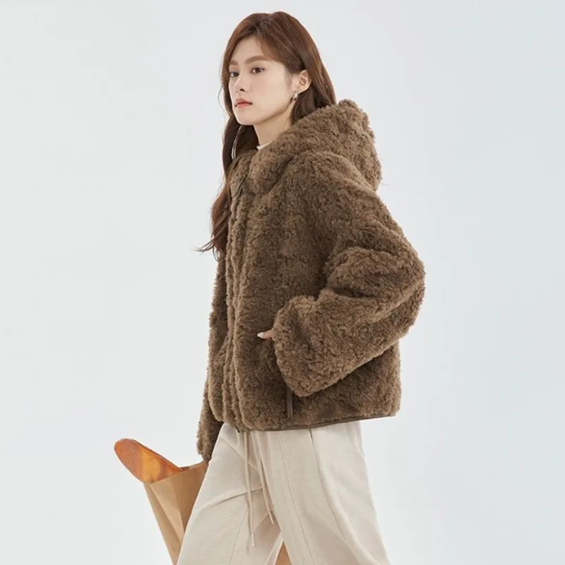 Women's Models Fairy Winter Faux Fur Coat Hooded Lambswool Thickened Warm Advanced Simple Loose Brand Fashion Versatile