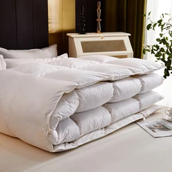 Solid Color White Goose/Duck Down Quilt Duvets Thicken Winter warm feather Comforters 100% Cotton Cover King Queen Twin Full