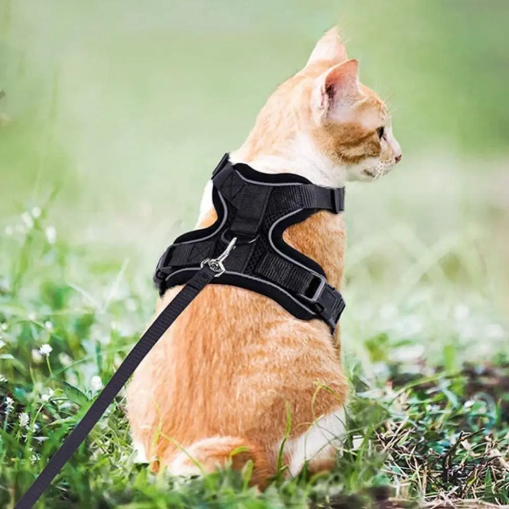

Escape Proof Cat Harness and Leash Breathable Soft Cat Chest Strap Reflective Polyester Cat Harness Vest Training