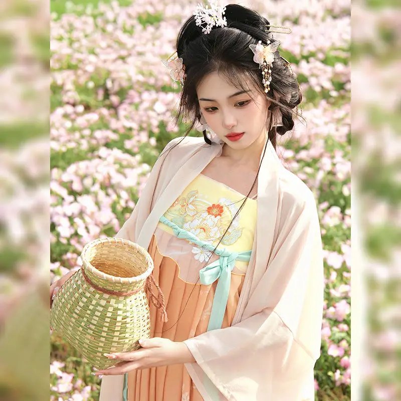 Traje de Hanfu Tradicional Chinesa Feminina, Vestido Antigo, Bordado Oriental, Vestido Princesa, Elegante, Dinastia Tang, Roupa de Dança