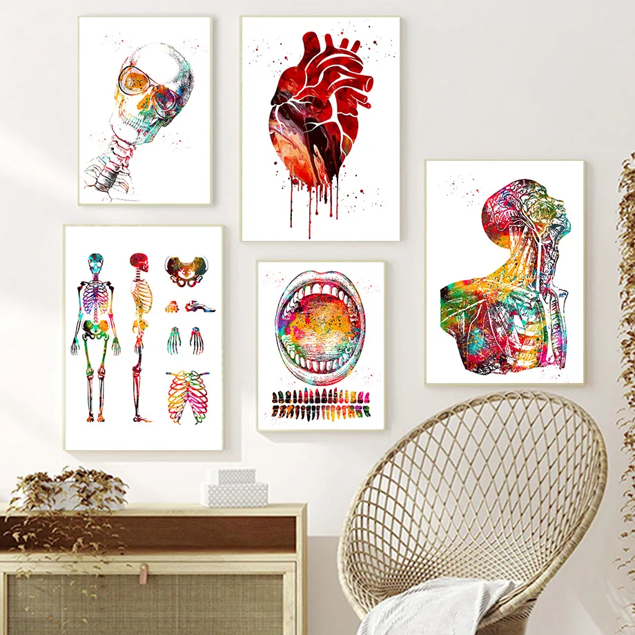 Anatomical Muscle Posters Medical Education Office Pictures Canvas Paintings Human Shaped Walls Art Murals Home Decoration