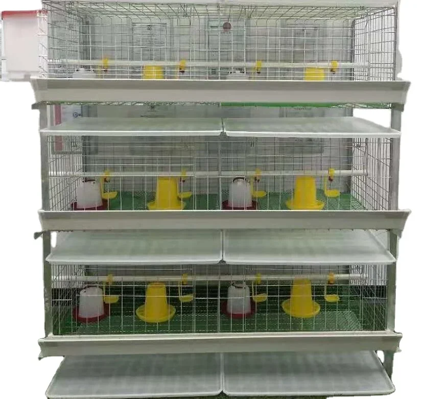 

Wholesale 80 Broiler Chickens Poultry Farm 4 Tiers Cage Broiler Cage