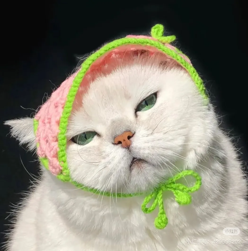 

Усовершенствованный 3D AI-анализатор кожи X5: высокоточное сканирование лица, мультиспектральный анализ влажности и кожи головы