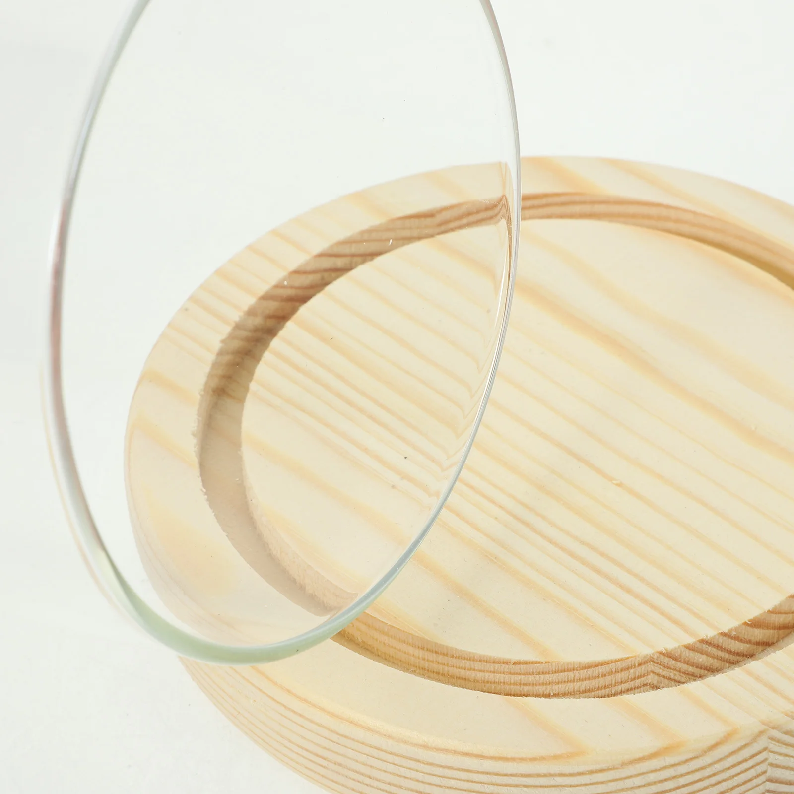 

Clear Display Dome with Wood Base for Flowers Decor Glass Cloche for Home Office Coffee Shop Use Glass Cabinet