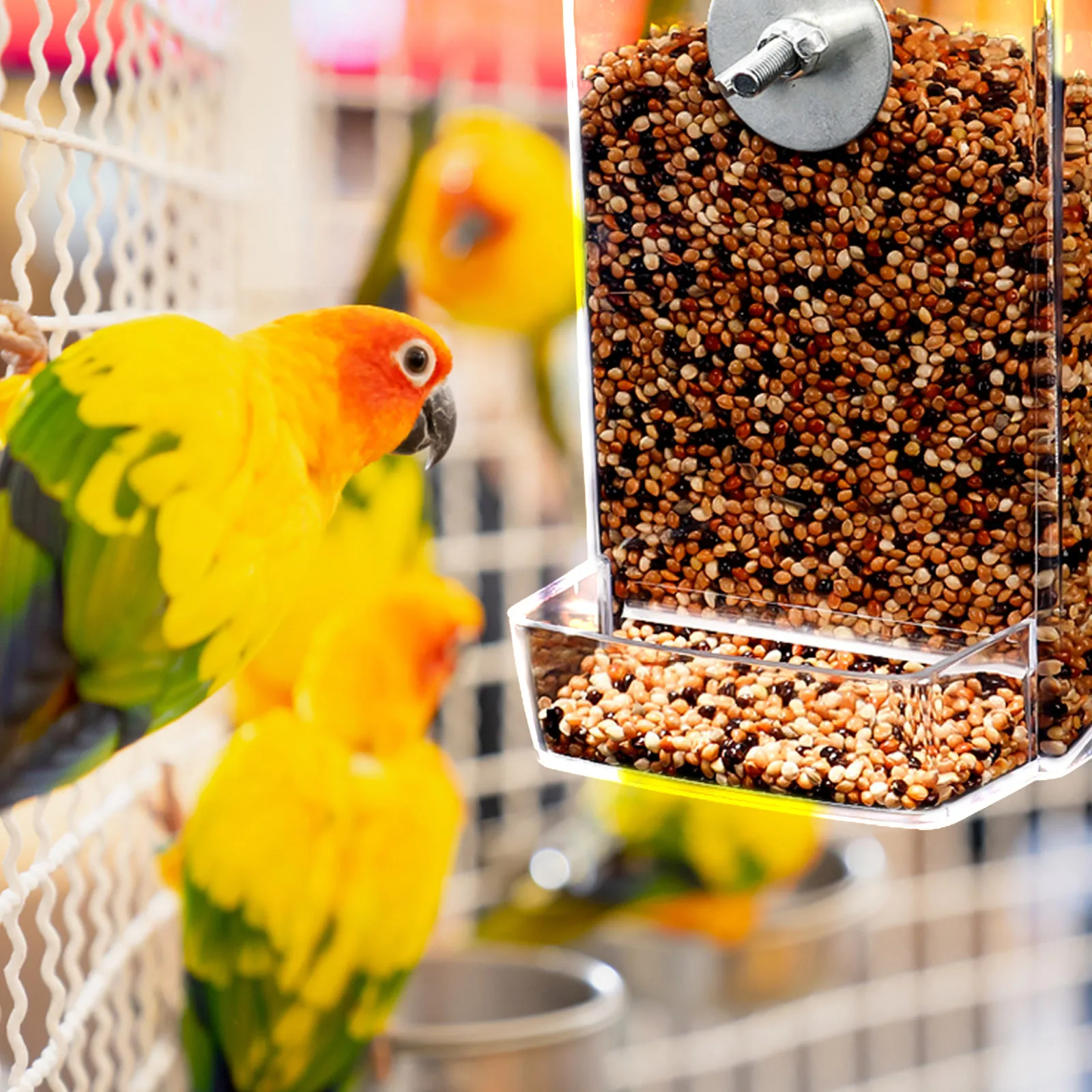 

Automatic Parrot Feeder Cage Container Transparent PP Material Most Cages Bird Feeding Cup Rabbit Hamster