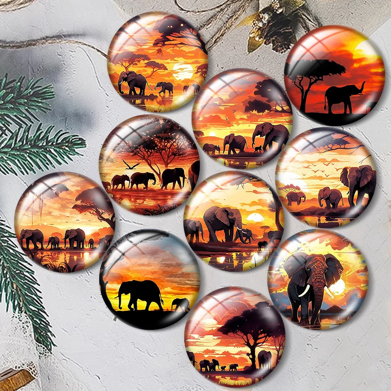 

Кабошоны из стекла Sunset Elephant 12/18/20/25 мм для браслетов, кулонов, колец, демонстрации ювелирных изделий, изготовления серег, фурнитура