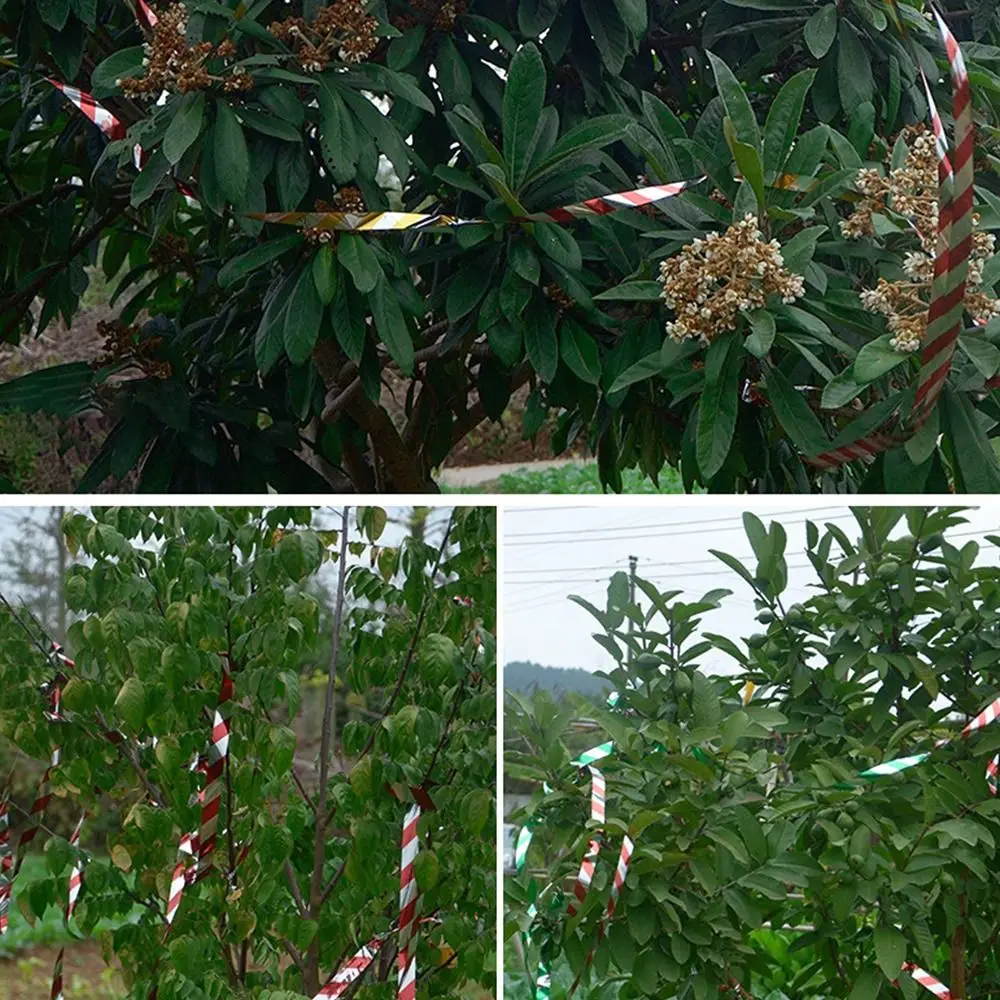 

50M/100M Double-sided Reflective Bird Repellent Ribbon Multipurpose Flashing Hanging Anti Bird Tape Adhesive-free