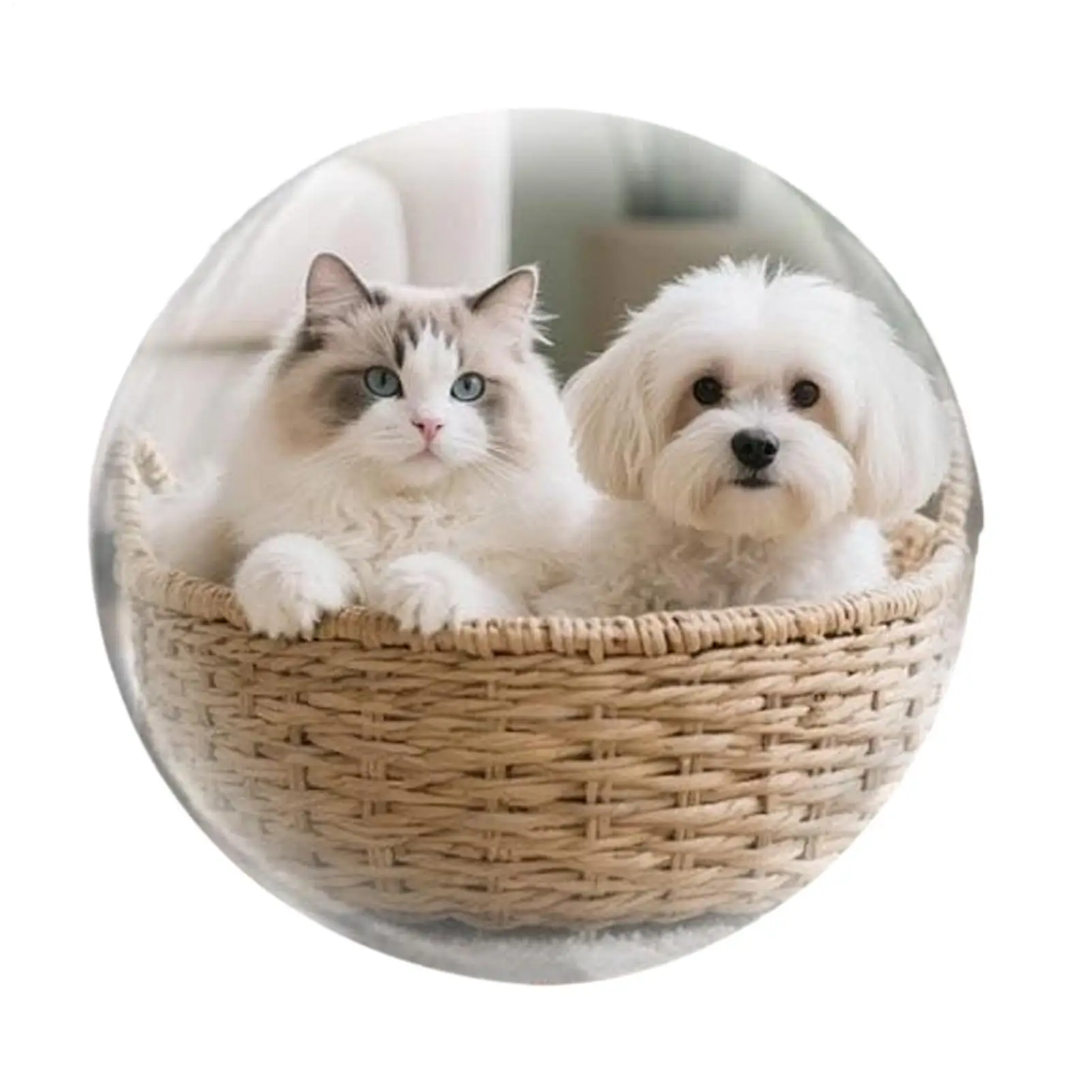 2.7-inch WIFI Version Crystal Ball Video Player Support Androids IOS System Memory Balls Crystal Photo Ball For Christmas