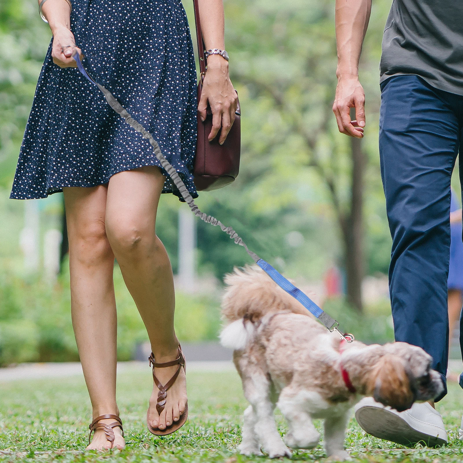 

Polyester Rope Medium Dogs Gray Blue Hand Free Pet Walking Belt Bungee Running Dog Leash Waist Leash For Dog Walking Hunting