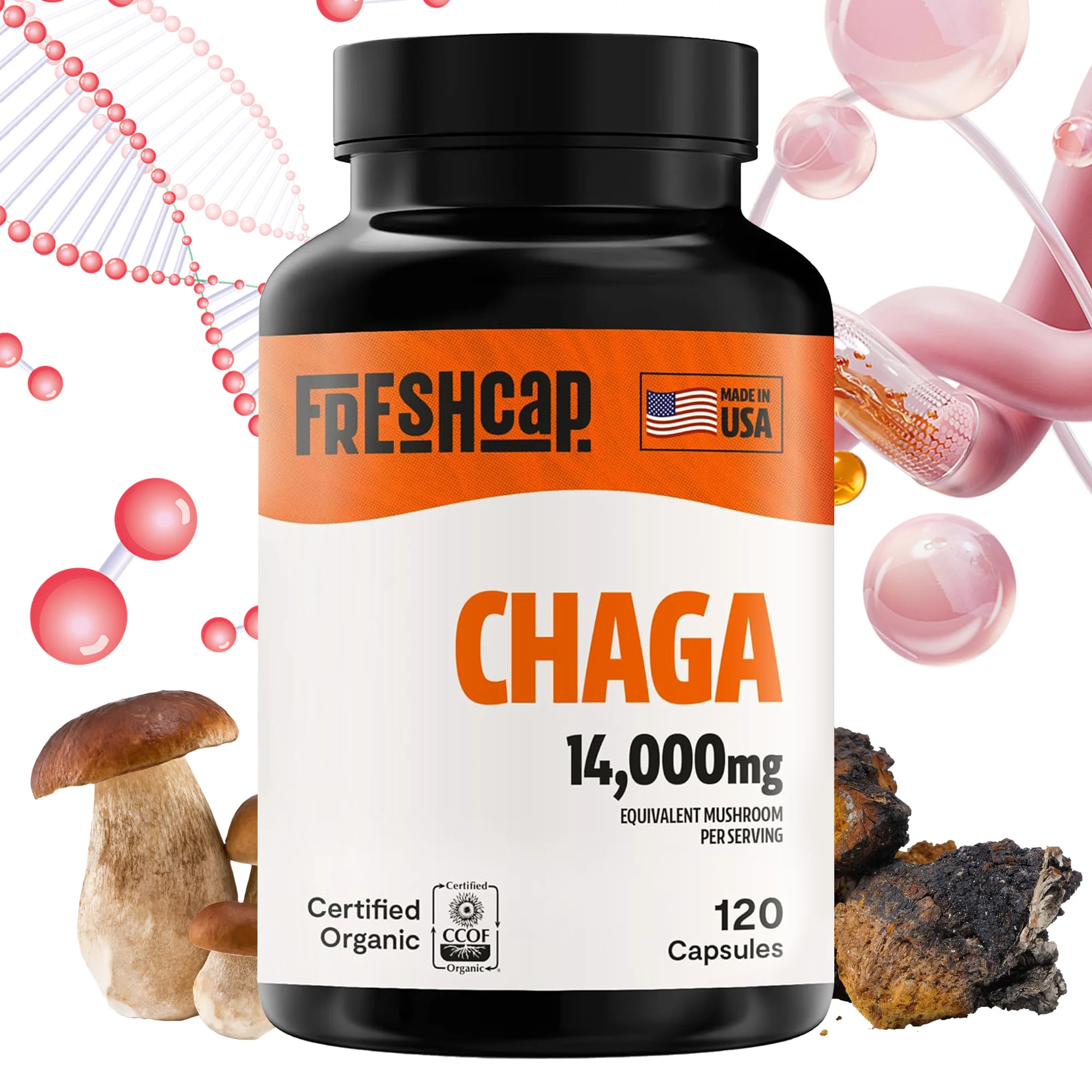 Chaga Mushrooms Capsules - Antioxidant, Maintains Immune Health, Skin Vitality and Digestive Balance
