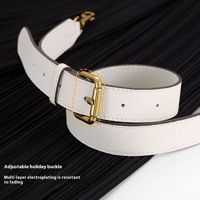 حزام حقيبة جلدية قابل للتعديل لـ Coach Tabby 26 Dionysus حقيبة استبدال أشرطة الكتف تحت الإبط ملحقات حقائب كروسبودي