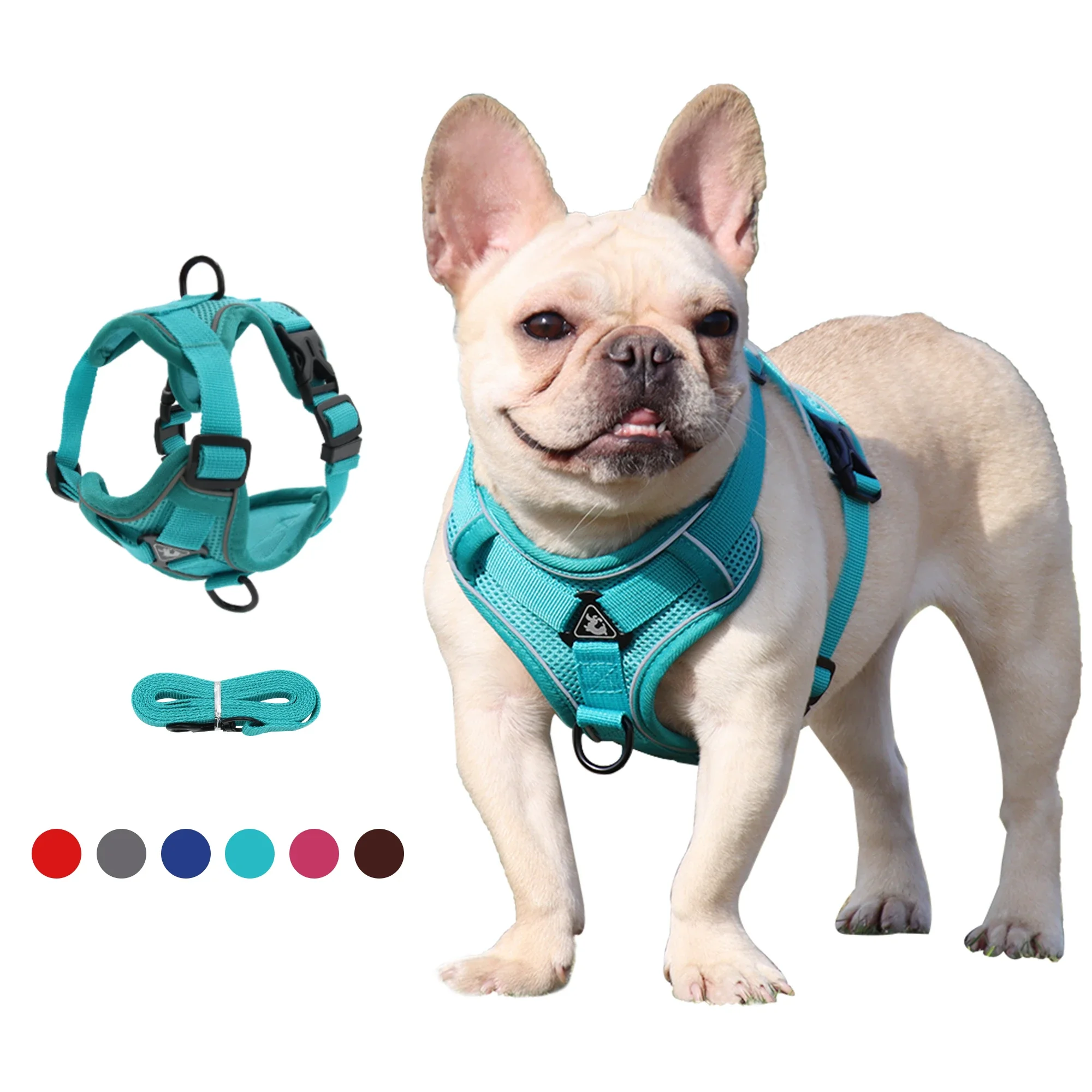 Quel harnais choisir pour son chien Guide complet pour faire le bon choix
