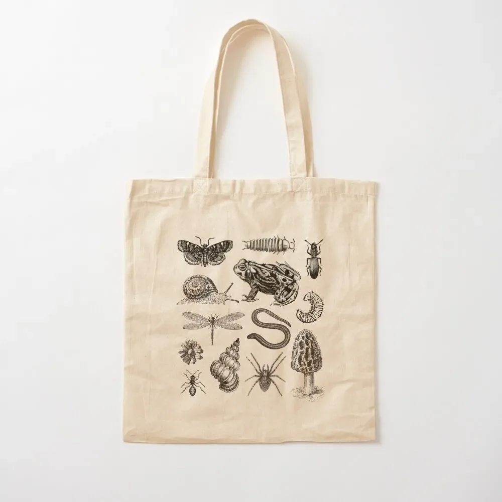 

Vintage Biology Nature Lover Collection: Frog, Mushroom, Snail, Moth Insects for Science and Natural History Tote Bag