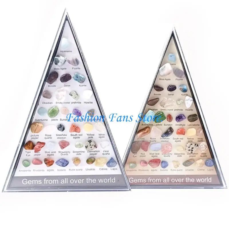 Natural Crystal Stones 36 Compact Display Case for Geology Enthusiasts