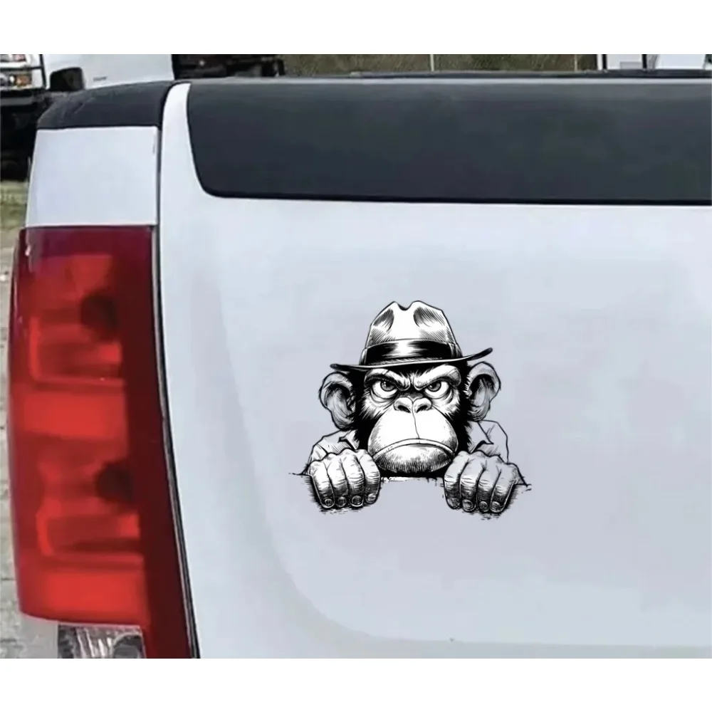 Peeking Angry Monkey Detective Cool Car Laptop Window Bumper Waterproof Vinyl Decal Sticker Cute Aesthetic Funny Funny Unique