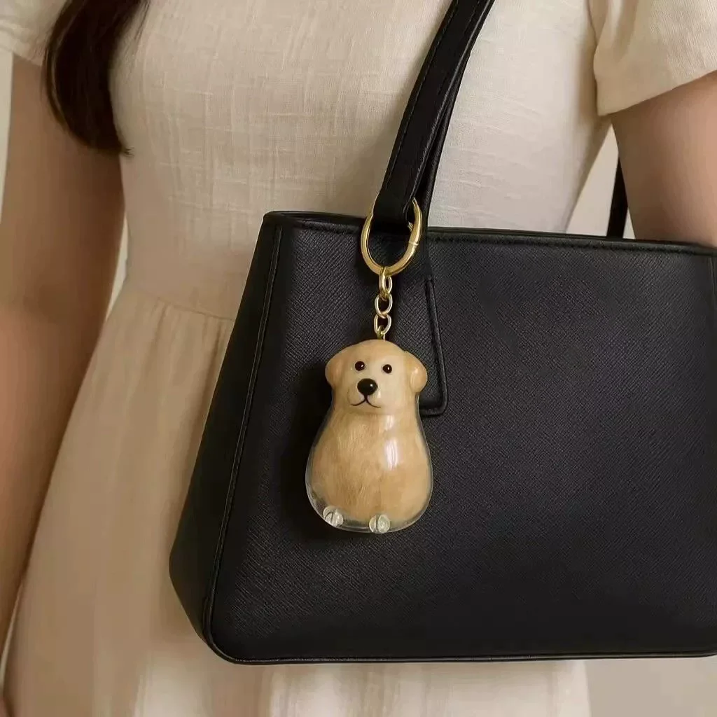 Caja de almacenamiento transparente conmemorativa, colgante de colección de pelo de perro, llavero de almacenamiento de pelo de Golden Retriever Corgi Samoyedo Labrador