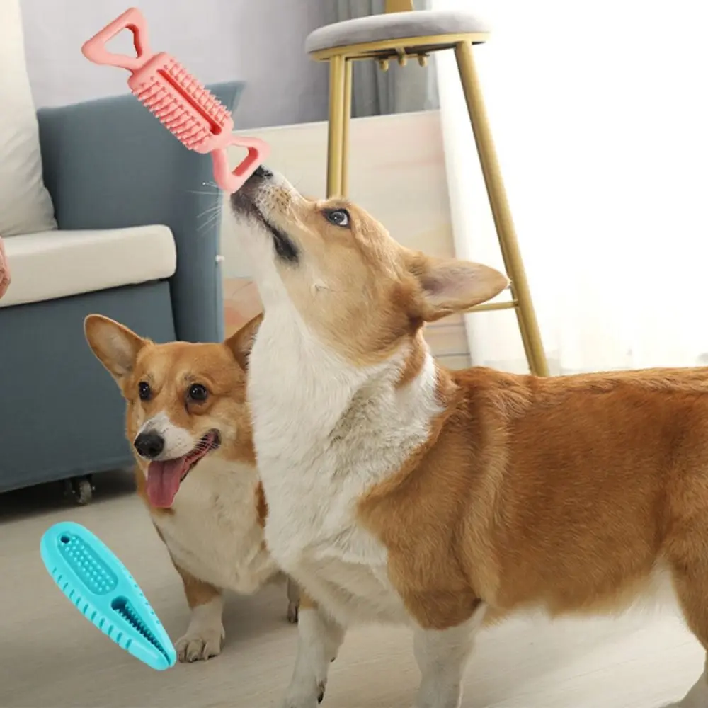 

Blue Dog Leakage Food Ball Bite Resistant TPR Puppy Chew Toys Ball Candy/Fish Mouth/Ball Shape Pet Teeth Grinding Stick