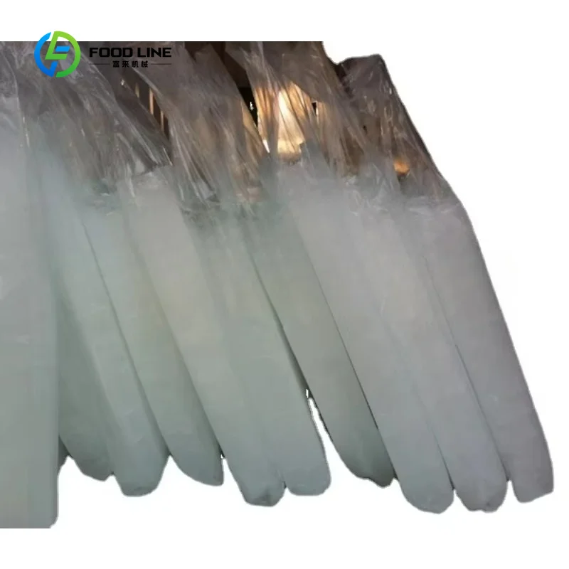 Customized Solar Powered Containerized Block Ice Maker 304 Stainless Steel CE Certified for Tropical Off-Grid Fishery