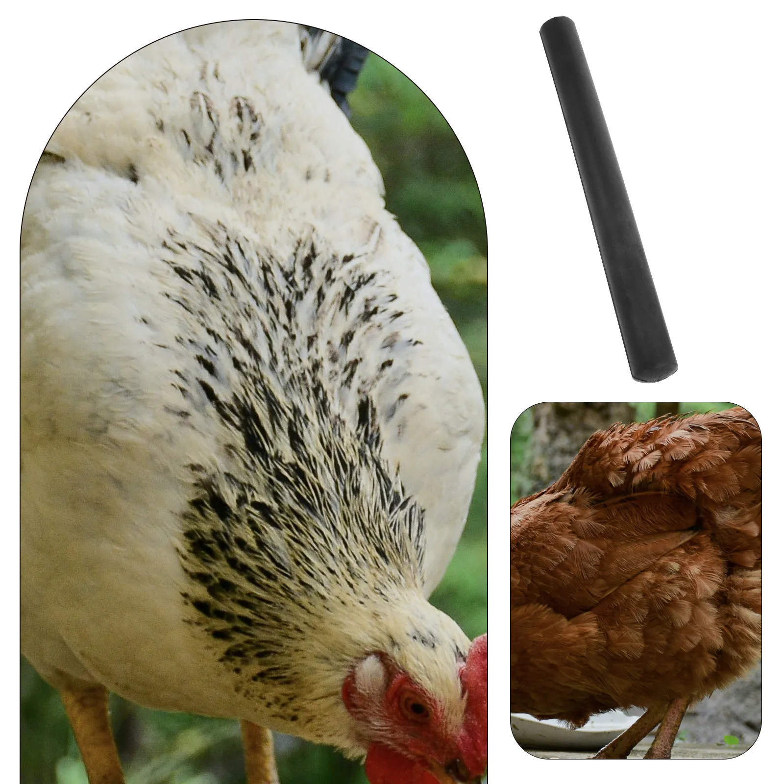 

Effective Poultry Plucking Fingers Long Service Time Chicken Plucker Machine Accessory for Quick Removal