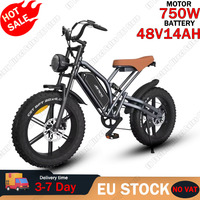 JANSNO Electric Bike 750W Motor 48V14AH Lithium Battery Retro E-bike Adult 20*4.0 Fat Tire off-road Mountain Electric Bicycle